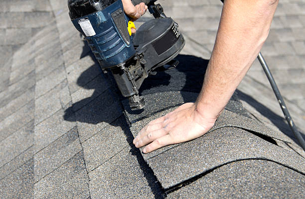 Best Roof Moss and Algae Removal  in Waukee, IA